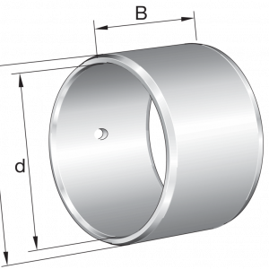 IR10X14X12-IS1-XL | Bearings