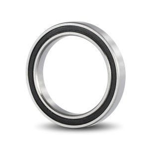 6703-2RS-SRL | Bearings