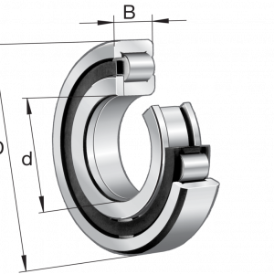 NUP220-E-XL-M1-C3 | Bearings